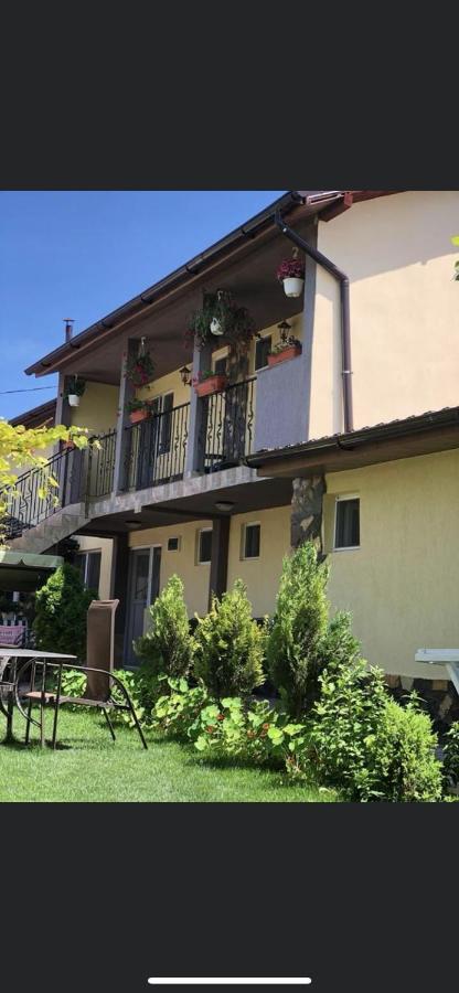 Vila Vlad 2 Mai Luaran gambar